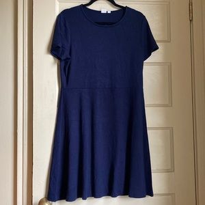 Gap Fit and Flare Dress